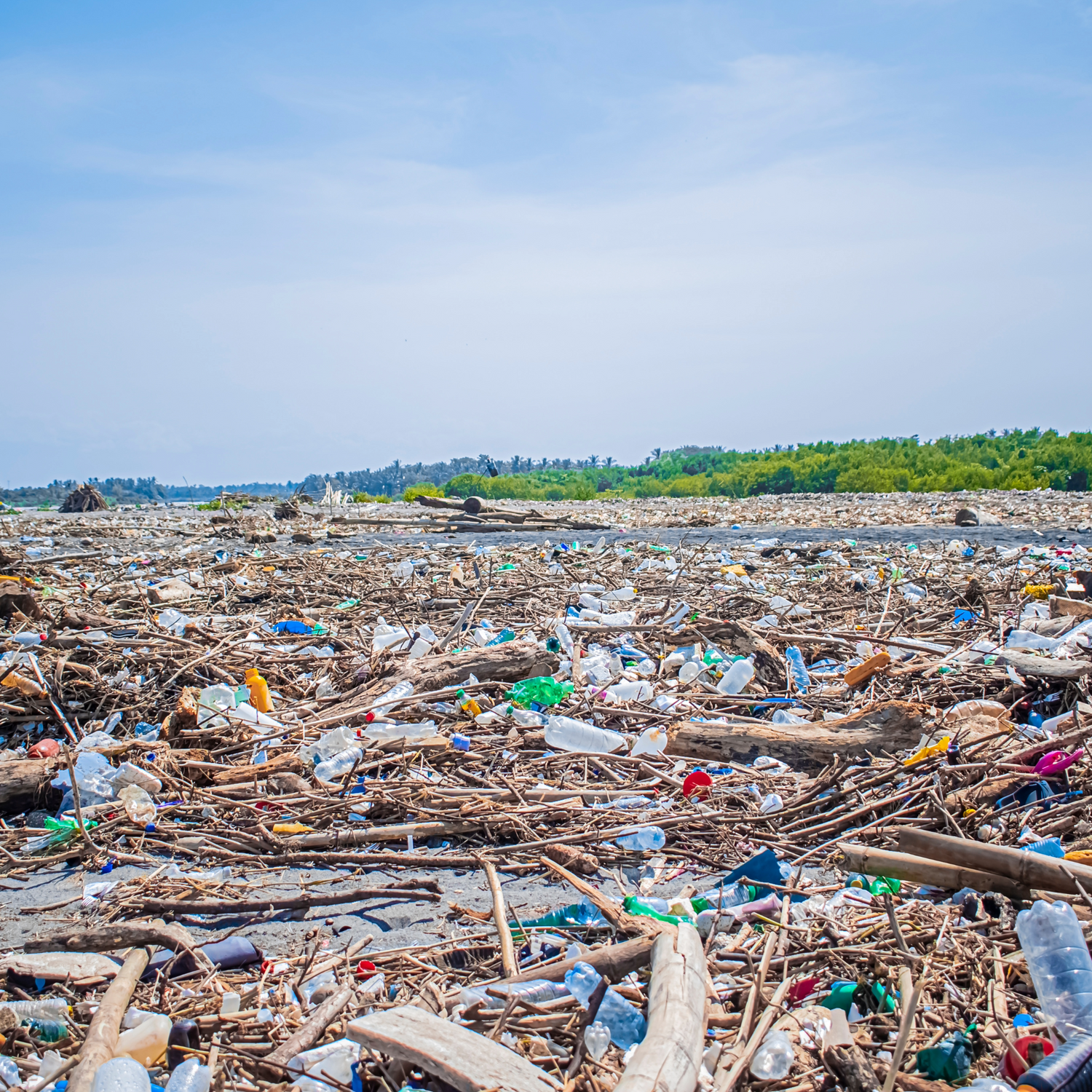 A river of floating plastic waste and pollution mixed with the environment and wood.