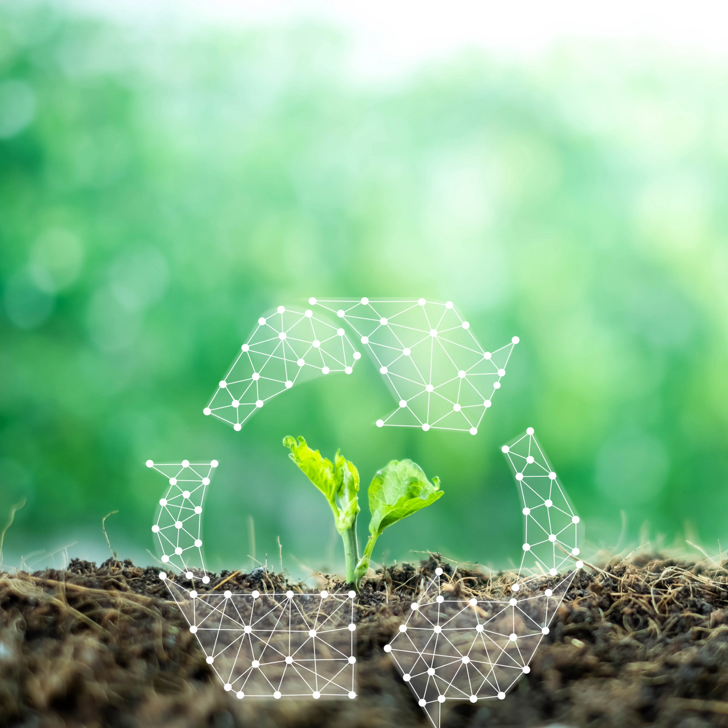 A new plant is growing out of fresh soil with recycling arrows around the growing plant.